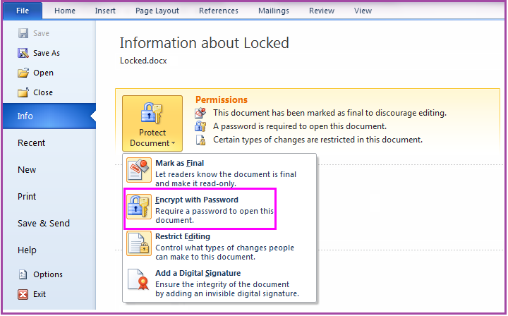 ms_word_file_info_encrypt_with-password_wise_tech_labs