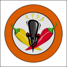 voice spice recorder