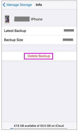 delete-backup-icloud-iphone-wise-tech-labs