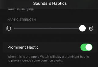 haptic-alerts-settings-watch-app-wise-tech-labs