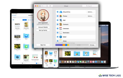 how-to-configure-and-access-and-icloud-drive-on-your-mac-wise-tech-labs