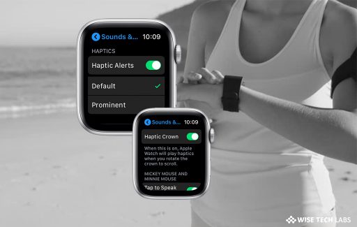 how-to-enable-or-disable-haptic-alerts-for-digital-crown-in-apple-watch-wise-tech-labs