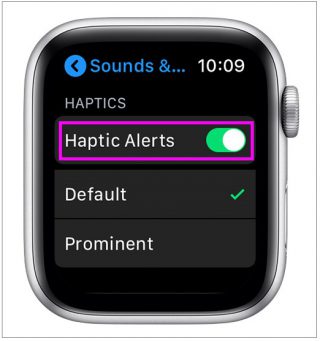 turn-haptic-alerts-on-or-off-apple-watch-wise-tech-labs