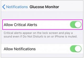 allow-critical-alerts-ios-wise-tech-labs