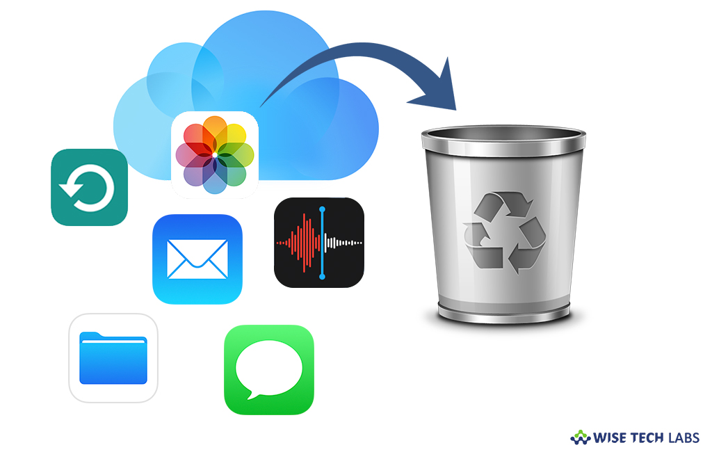 how-to-delete-files-from-icloud-drive-using-your-ios-device-mac-or-windows-pc-wise-tech-labs