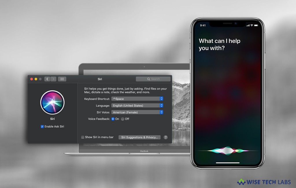 what-to-do-if-siri-or-hey-siri-is-not-working-on-your-mac-or-ios-device-wise-tech-labs