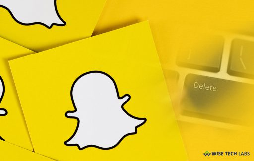 how-to-delete-your-snapchat-account-using-your-smartphone-or-computer-wise-tech-labs