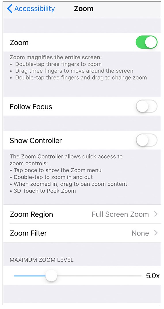 enable-disable-zoom-ios-wise-tech-labs